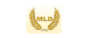 MLB MLB